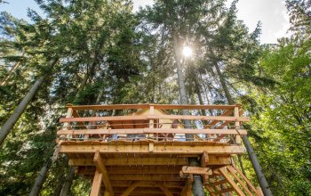 Ubytování v treehousu s bohatou snídaní