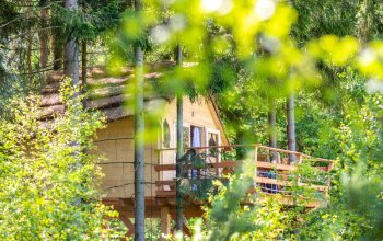 Ubytování v treehousu s bohatou snídaní