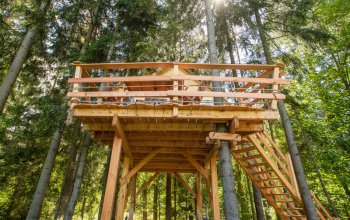 Ubytování v treehousu s bohatou snídaní