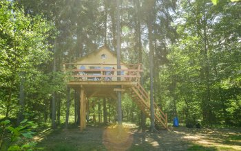 Ubytování v treehousu s bohatou snídaní