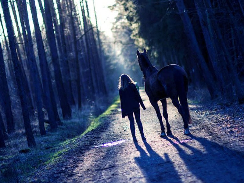 Venkovní úniková hra: Duch lesa Praha