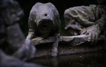 Venkovní úniková hra: Zakletá stezka