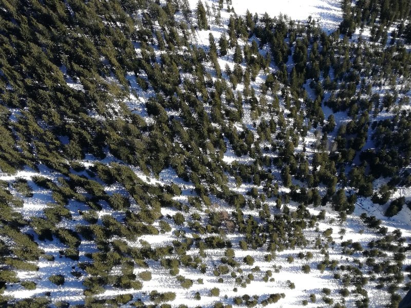 Vyhlídkový let balónem nad Tatrami