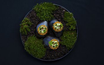 Sezónní degustační menu v restauraci Blue Wagon…