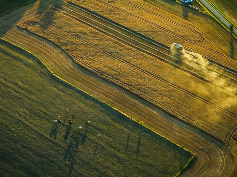 Vyhlídkový let balónem po celé ČR Vysočina