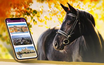 Venkovní úniková hra: Záhada starého Hradce