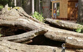 Tiny house: Ubytování v přírodě v oboře Kněžičky