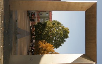 Venkovní úniková hra: Černý panter