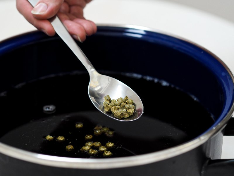 Sada na výrobu svrchně kvašeného piva IPA