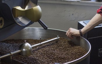 Degustace kávy: Cupping