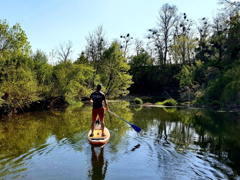 Škola paddleboardingu na Malé Skále