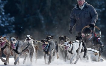 Mushing - jízda se psím spřežením