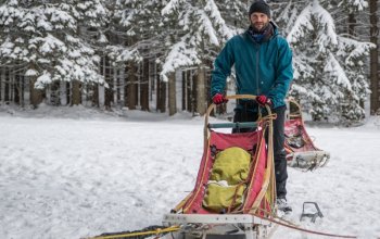 Mushing - jízda se psím spřežením