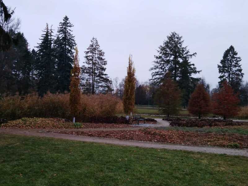 Venkovní úniková hra: Únos červeného cadillacu