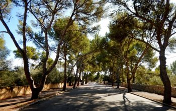 Soukromý let balónem