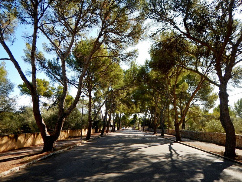 Soukromý let balónem Vysočina