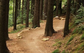 Cyklovíkend v bikeparku Tanvaldský Špičák