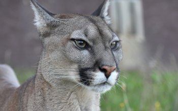 Zážitková noc v zoo