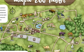 Ošetřovatelem v zoo na jeden den | zážitkový poukaz
