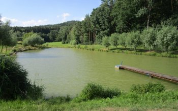 Pronájem soukromého rybníka až pro 8 rybářů |…