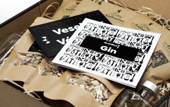 Sada na výrobu ginu