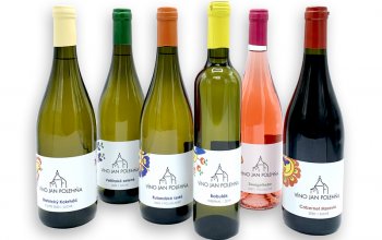Domácí degustace moravských vín + bedna 6 lahví…