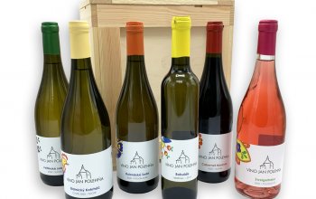 Domácí degustace moravských vín + bedna 6 lahví…