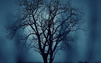 Venkovní úniková hra: Duch lesa Praha