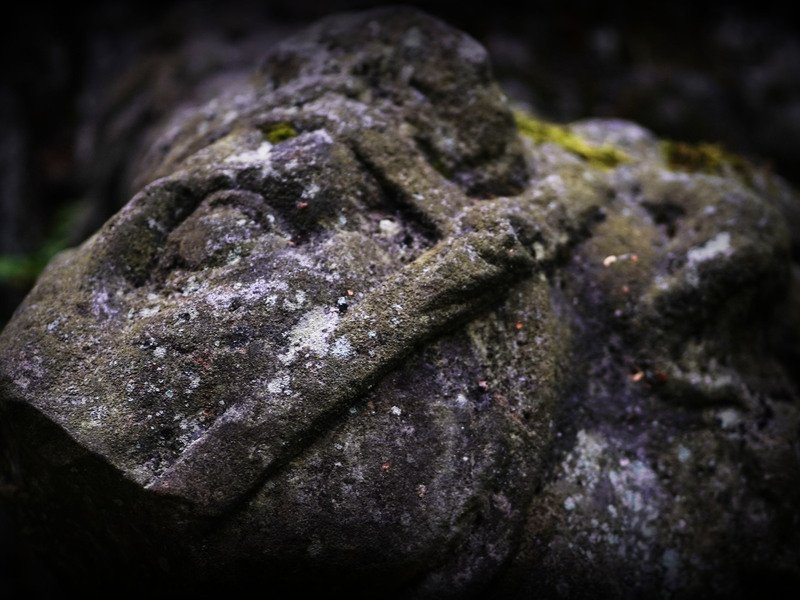 Venkovní úniková hra: Zakletá stezka