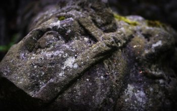 Venkovní úniková hra: Zakletá stezka