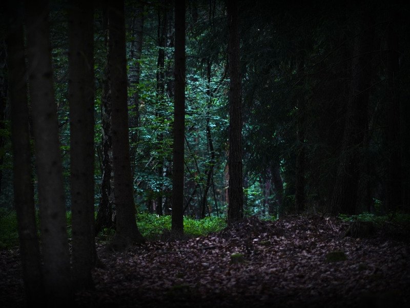 Venkovní úniková hra: Zakletá stezka