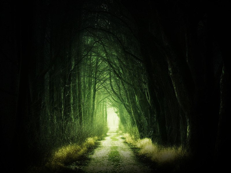 Venkovní úniková hra: Zakletá stezka