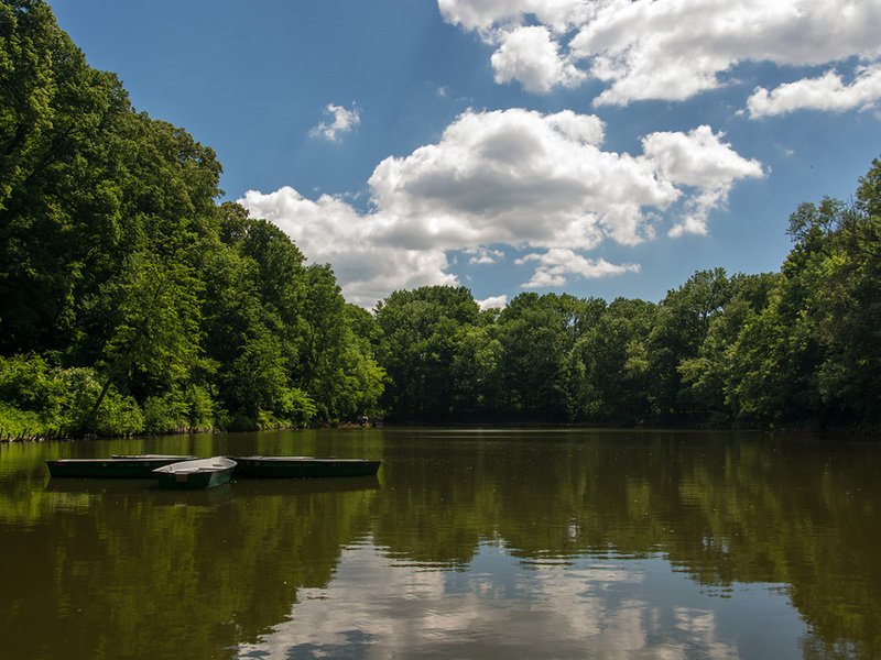 Venkovní úniková hra v Bratislavě: Pomoc planetě Alia Zahraničí