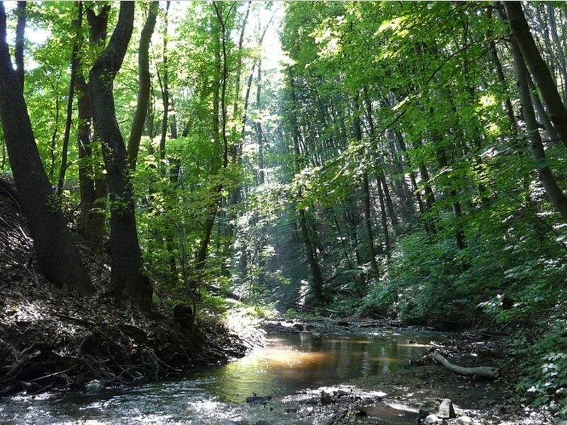 Venkovní úniková hra v Bratislavě: Pomoc planetě Alia Zahraničí