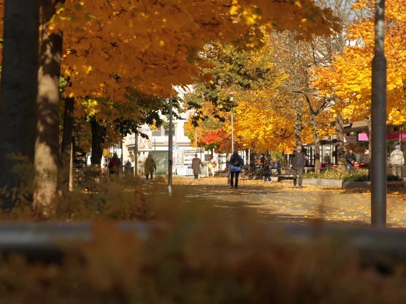 Venkovní úniková hra: Černý panter