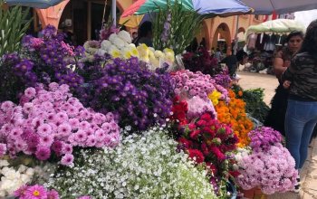 AUTENTICKÉ MEXIKO & DÍA DE LOS MUERTOS Zahraničí