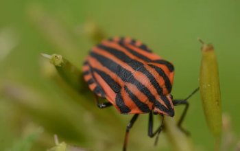 Individuální fotokurz – dárek a zážitek