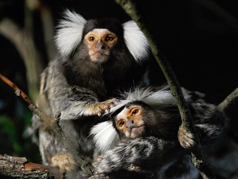 Individuální fotokurz