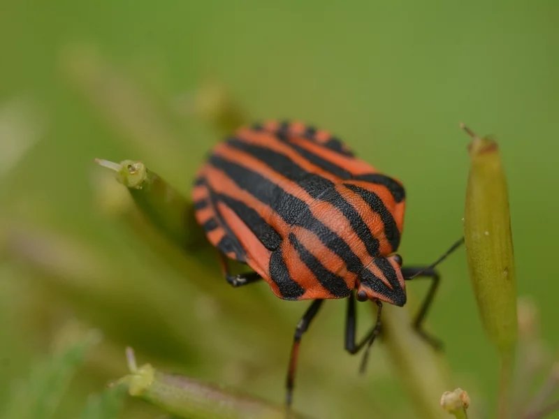 Individuální fotokurz
