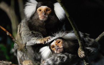 Individuální fotokurz