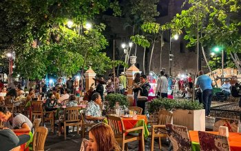 17 denní Mexiko Zahraničí