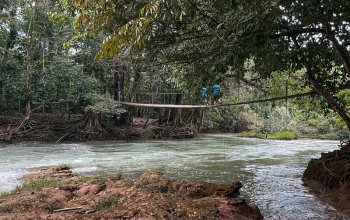 17 denní Mexiko Zahraničí