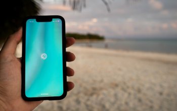 17 denní Mexiko Zahraničí