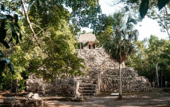 17 denní Mexiko Zahraničí