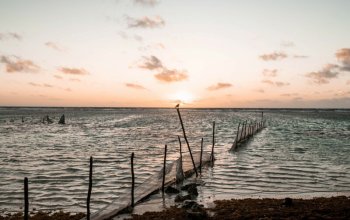 17 denní Mexiko Zahraničí