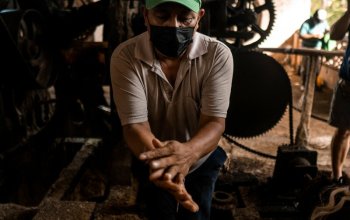 17 denní Mexiko Zahraničí