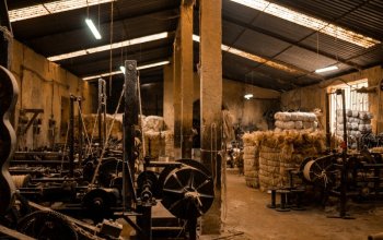 17 denní Mexiko Zahraničí