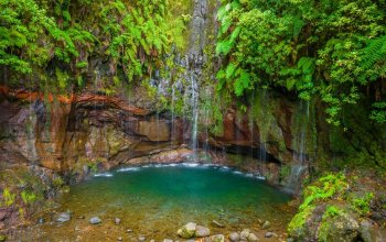 Madeira & low cost Zahraničí