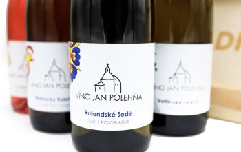 Domácí degustace moravských vín + bedna 6 lahví