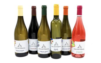 Domácí degustace moravských vín + bedna 6 lahví